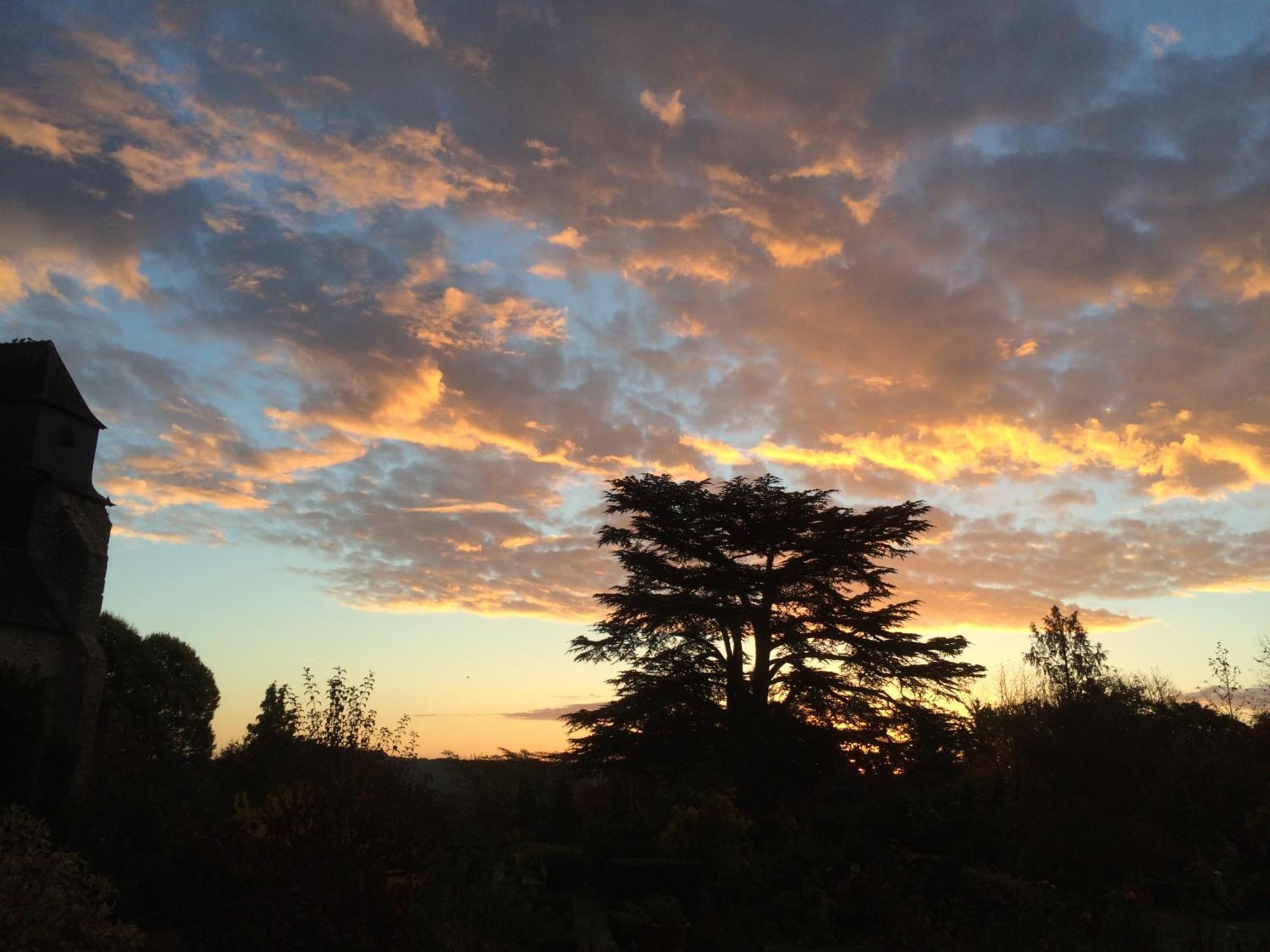 Le Prieure D'Orchaise Rom bilde